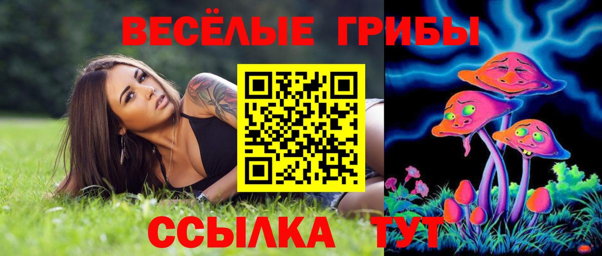 Псилоцибиновые грибы Cubensis  Вход с VPN  Качканар 