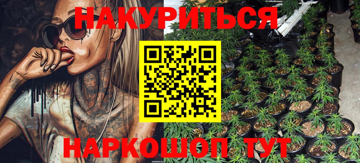 Конопля Amnesia Качканар